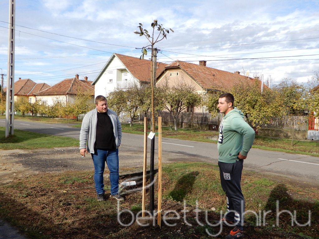 Közösségi faültetés Berettyóújfaluban 77